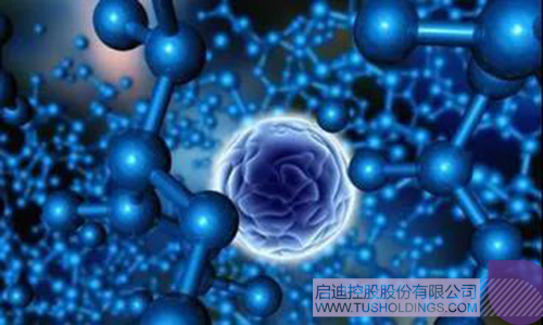 1623394485496940.jpg 2 拷贝.jpg